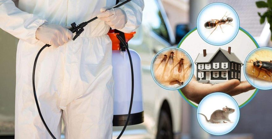 Fatih Böcek İlaçlama