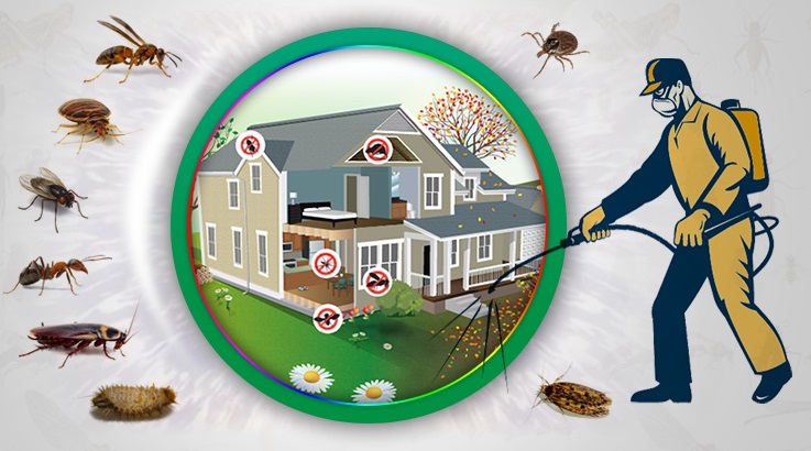 Fatih Böcek İlaçlama