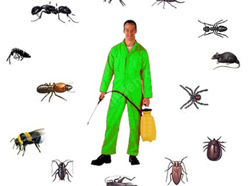 Fatih Böcek İlaçlama